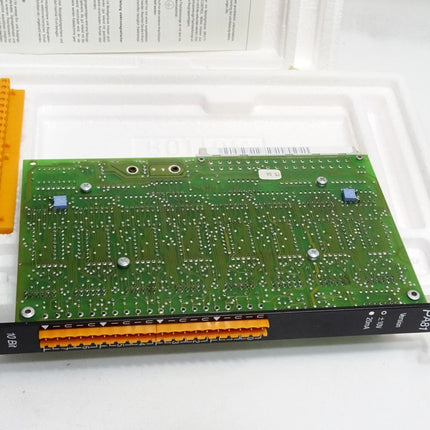 B&R PA81 ECPA81-2 Rev.01.00 MULTI Analoges Ausgangsmodul  / Neu OVP - Maranos.de