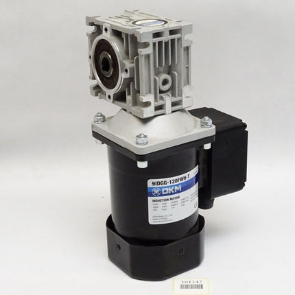 DKM 9WHD15-030 9IDGG-120FWH-T Induction Motor 1300r/min / Neuwertig - Maranos.de