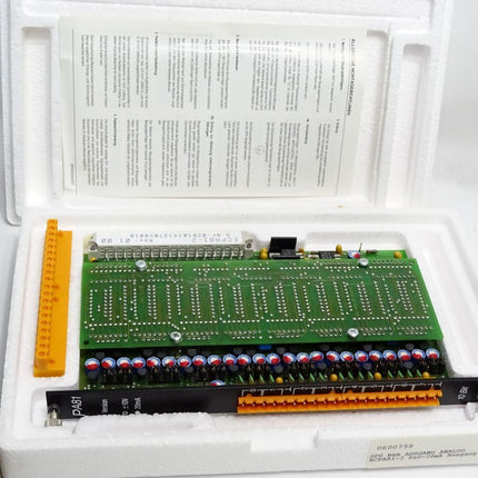 B&R PA81 ECPA81-2 Rev.01.00 MULTI Analoges Ausgangsmodul  / Neu OVP - Maranos.de