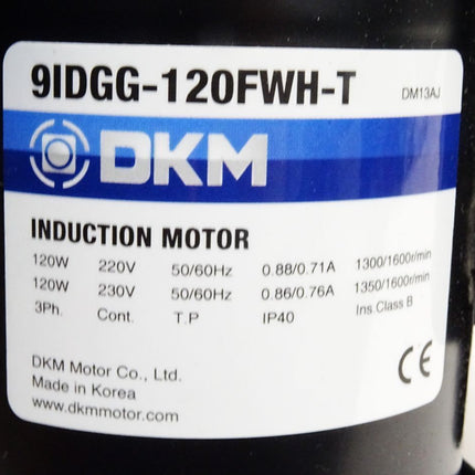 DKM 9WHD15-030 9IDGG-120FWH-T Induction Motor 1300r/min / Neuwertig - Maranos.de
