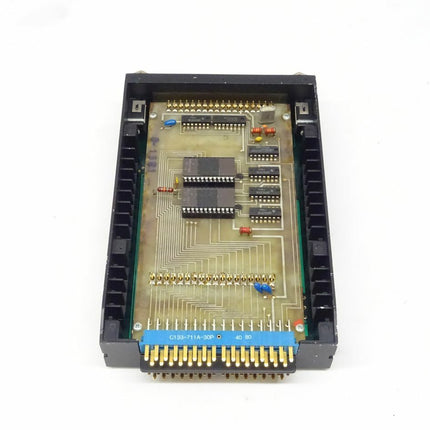 Schleicher STE K-1k Einsteckkarte 4316 1381 Promodul neu-OVP - Maranos.de