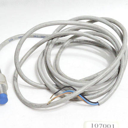 Sick 6027512 IM12-10NPS-ZW1 Induktiver Näherungssensor - Maranos.de