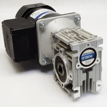 DKM 9WHD15-030 9IDGG-120FWH-T Induction Motor 1300r/min / Neuwertig - Maranos.de