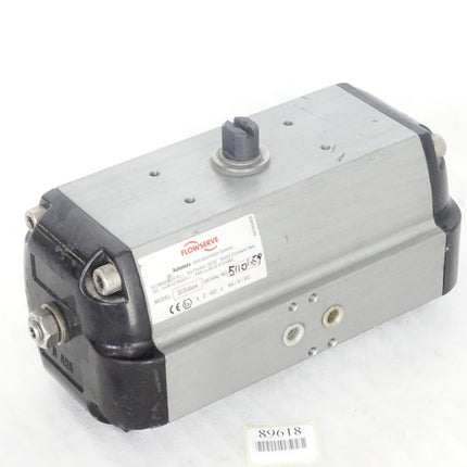 Flowserve Automax Ventil SISatex S085D S183118/3-1 - Maranos.de