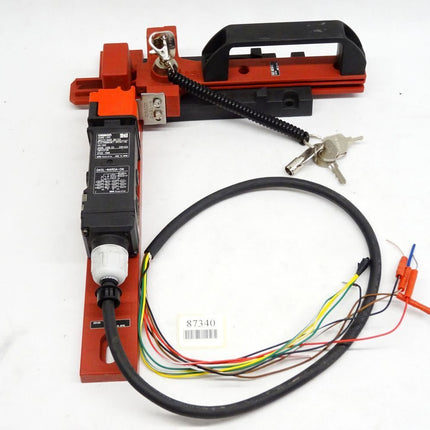 Omron Guard Lock Safety Door Switch D4SL-N4RDA-DN + D4SL-NSK10-LK - Maranos.de