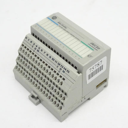 ALLEN BRADLEY Flex I/O / 1794-IB10X086 / 24 VDC Sunk Input / 1794 - 1B10X086 - Maranos.de