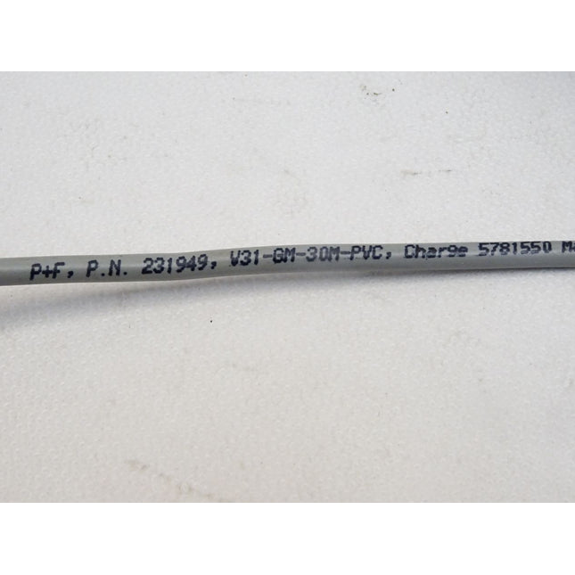 Pepperl+Fuchs 231949 Kabeldose V31-GM-30M-PVC / Neu - Maranos.de