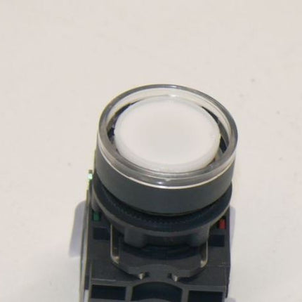 Wieland Bezeichnungsstreifen 9705A/5/10 B31-40 25er Packung  NEU - Maranos.de