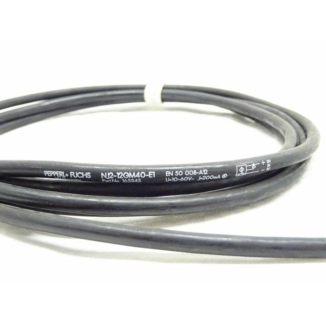 Pepperl und Fuchs 16534S Sensor NJ2-12GM40-E1 / EN50 008-A12 - Maranos.de