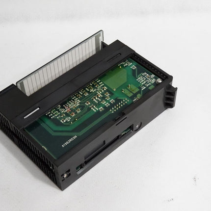 Mitsubishi PT100 Input Unit A1S62RD3N - Maranos.de