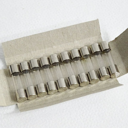 Püschel 10 G-Sicherungseinsätze 1A 250V 102.000 / Neu OVP - Maranos.de