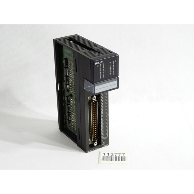 Mitsubishi Input Unit A1SX81 - Maranos.de