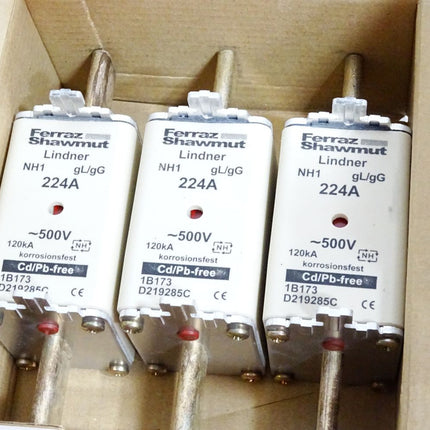 Ferraz Shawmut Sicherungen NH1-224A gL/gG 500VAC 3 Stück 1B173 D219285C Neu OVP
