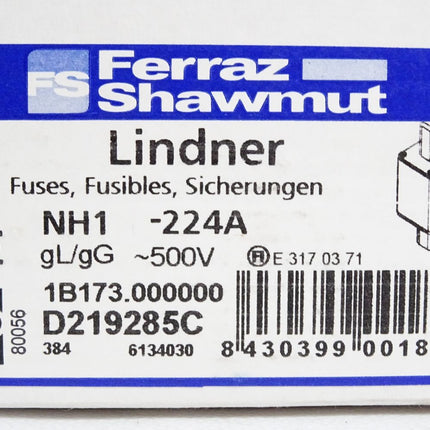 Ferraz Shawmut Sicherungen NH1-224A gL/gG 500VAC 3 Stück 1B173 D219285C Neu OVP
