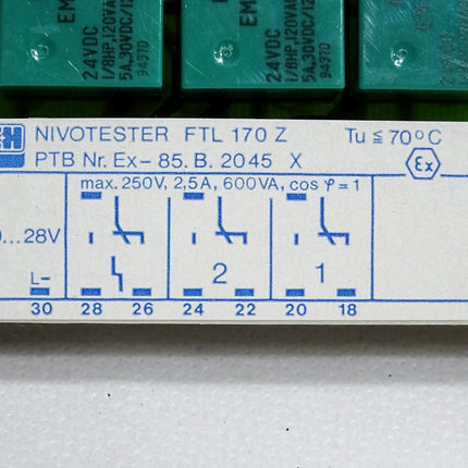 Endress+Hauser Nivotester FTL170Z - Maranos.de