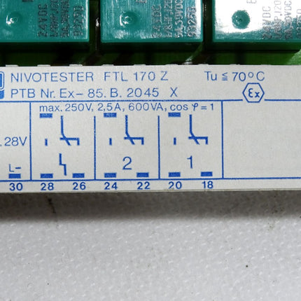 Endress+Hauser Nivotester FTL170Z