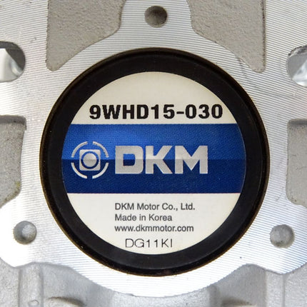 DKM 9WHD15-030 9IDGG-120FWH-T Induction Motor 1300r/min / Neuwertig - Maranos.de
