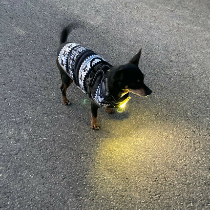 Armytek Zippy Gelb 200 lumen mini Taschenlampe Schlüsselanhänger Hunde LED Lampe